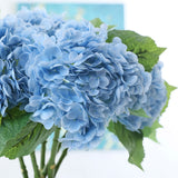 Msddl 3D Latex Artificial Flowers Hydrangea Hand Feel Moisturizing Big Hydrangea Flower Decoration Floral for Home Wedding Arrangement