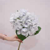 Msddl Real Touch Hydrangea Pointed Leaf Hydrangea Artificial Flowers Home Living Room Decoration Wedding Background Flower Arrangement