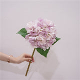 Msddl Real Touch Hydrangea Pointed Leaf Hydrangea Artificial Flowers Home Living Room Decoration Wedding Background Flower Arrangement