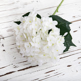 Msddl Latex Film Hydrangea Real Touch Artificial Flowers for Home Living Room Decoration Bridal Bouquet Wedding Flower Arrangement