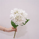 Msddl Real Touch Hydrangea Pointed Leaf Hydrangea Artificial Flowers Home Living Room Decoration Wedding Background Flower Arrangement