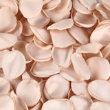 Msddl 100/200pcs 4cm Silk Rose Petals Artificial Flower Petal Valentines Day Room Decoration Wedding Anniversary Party Decor Petals