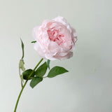 Msddl New Moisturizing Peonies Rose Real Touch Artificial Peony Flowers Home Living Room Decor Wedding Party Table Flower Arrangement