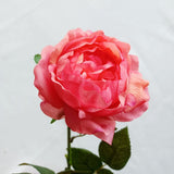 Msddl New Moisturizing Peonies Rose Real Touch Artificial Peony Flowers Home Living Room Decor Wedding Party Table Flower Arrangement