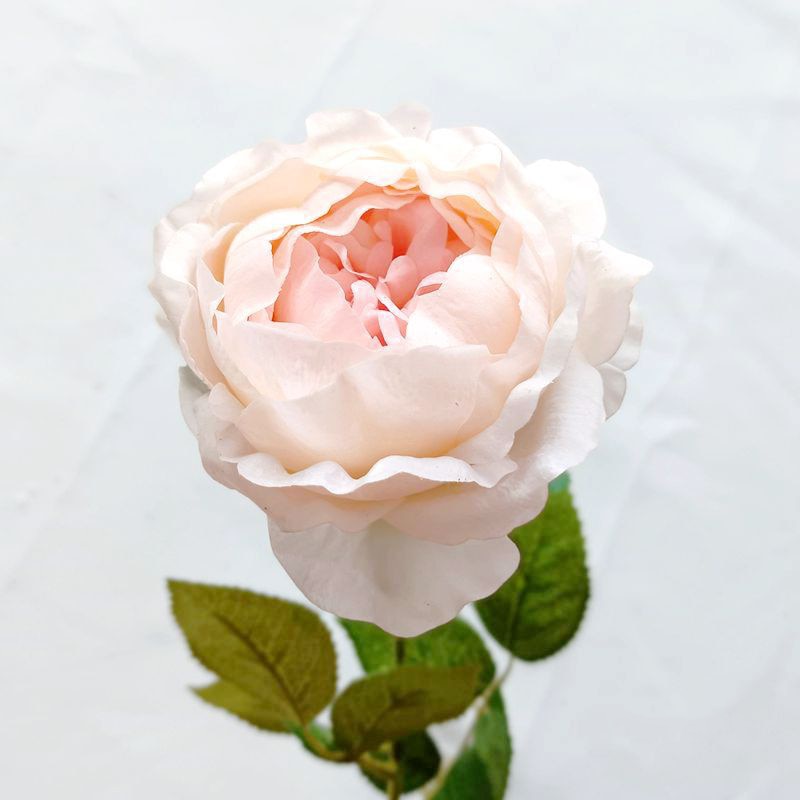 4Pcs Simulation Peonies Feel Moisturizing Austin Rose Real Touch Artificial  Flowers Wedding Party Home Decoration Rose